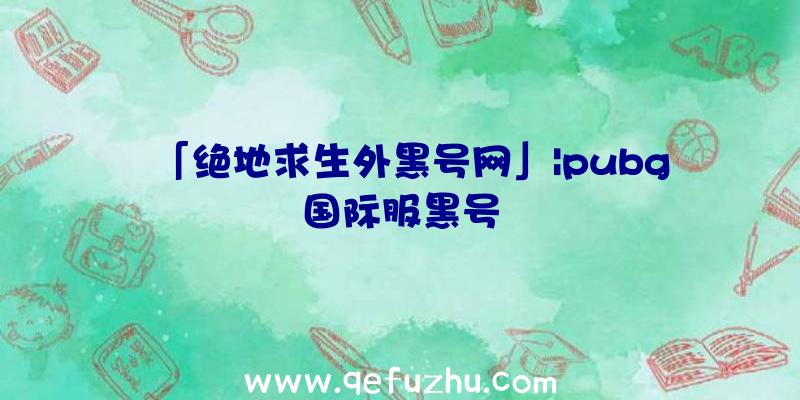 「绝地求生外黑号网」|pubg国际服黑号